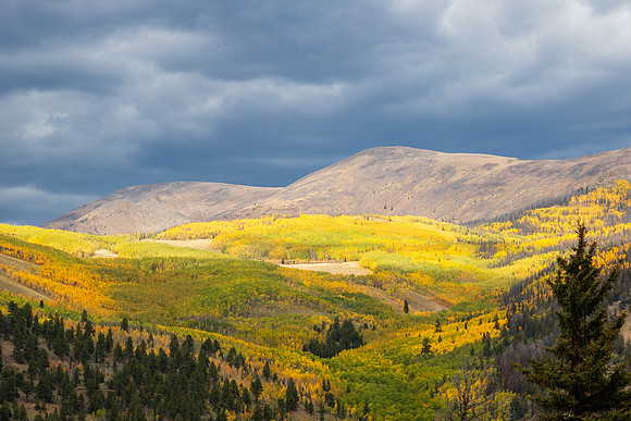 FallColors2025-3249
