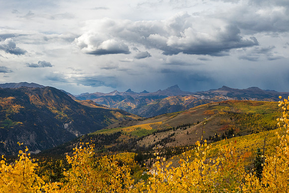 FallColors2025-3271