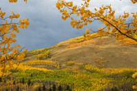 FallColors2025-3253