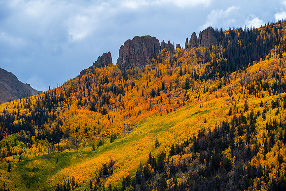 FallColors2025-3246