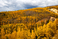 FallColors2025-3265