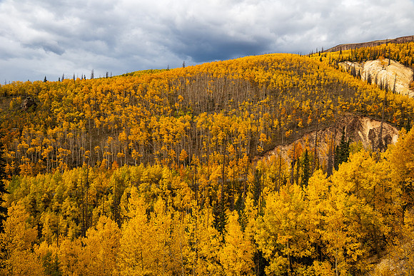 FallColors2025-3265
