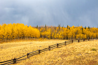 FallColors2025-3282