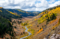 FallColors2025-3423