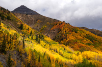 FallColors2025-3584