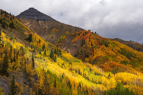 FallColors2025-3584