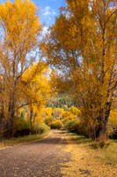 FallColors2025-3489