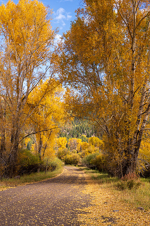 FallColors2025-3489