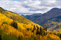 FallColors2025-3592
