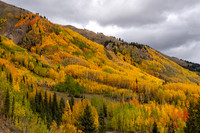 FallColors2025-3593