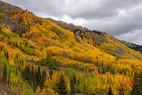 FallColors2025-3593
