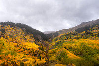 FallColors2025-3602