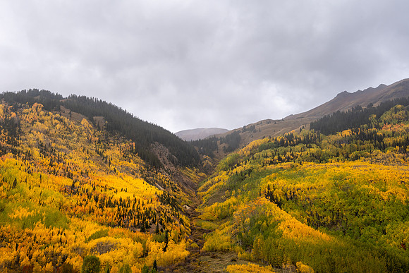 FallColors2025-3602