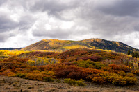 FallColors2025-3660