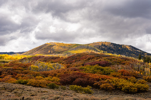 FallColors2025-3660