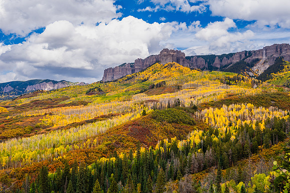 FallColors2025-3610