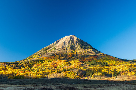 FallColors2025-3749
