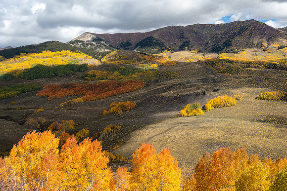 FallColors2025-3693
