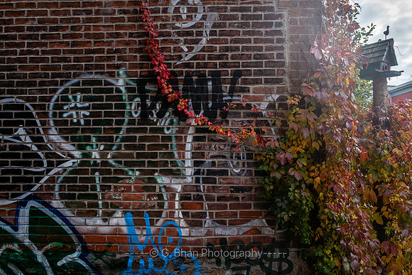 Montreal2025-1001298