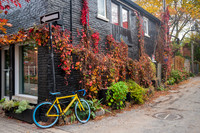 Montreal2025-1001307