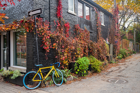 Montreal2025-1001307