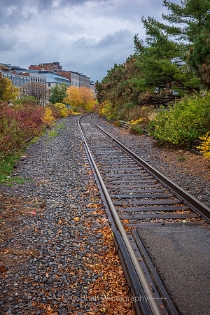 Montreal2025-0002970
