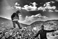 Oaxaca
