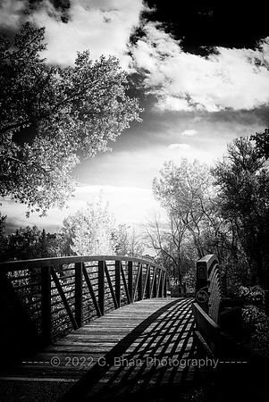 GBhan_Fall2022_1001365-Edit